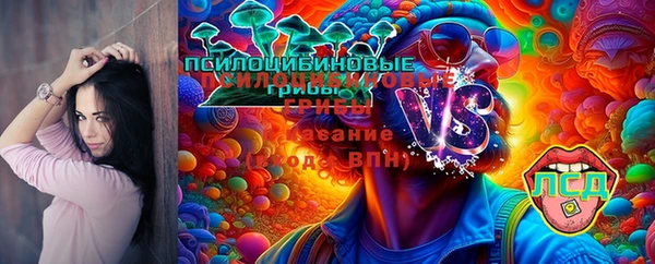 jwh Гусев